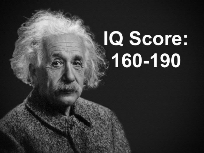 Here Is The Highest Possible IQ And The People Who Hold The World