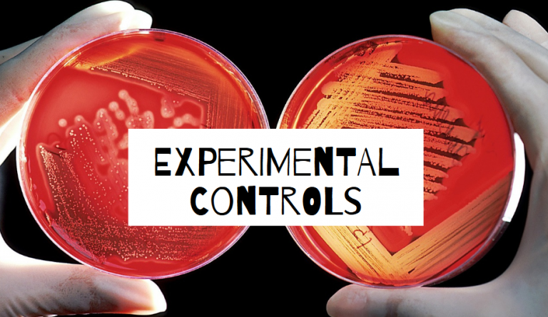 experimental control in lab