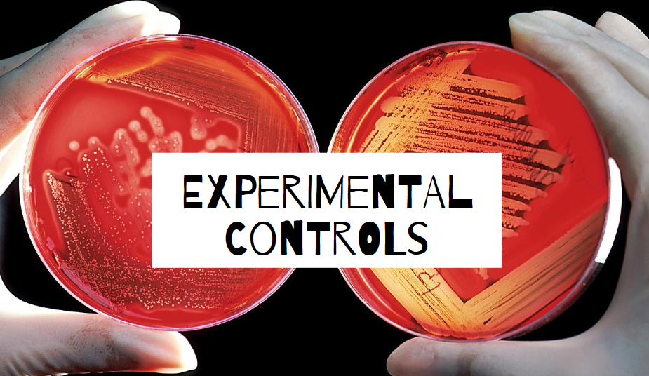 controls in a plant experiment