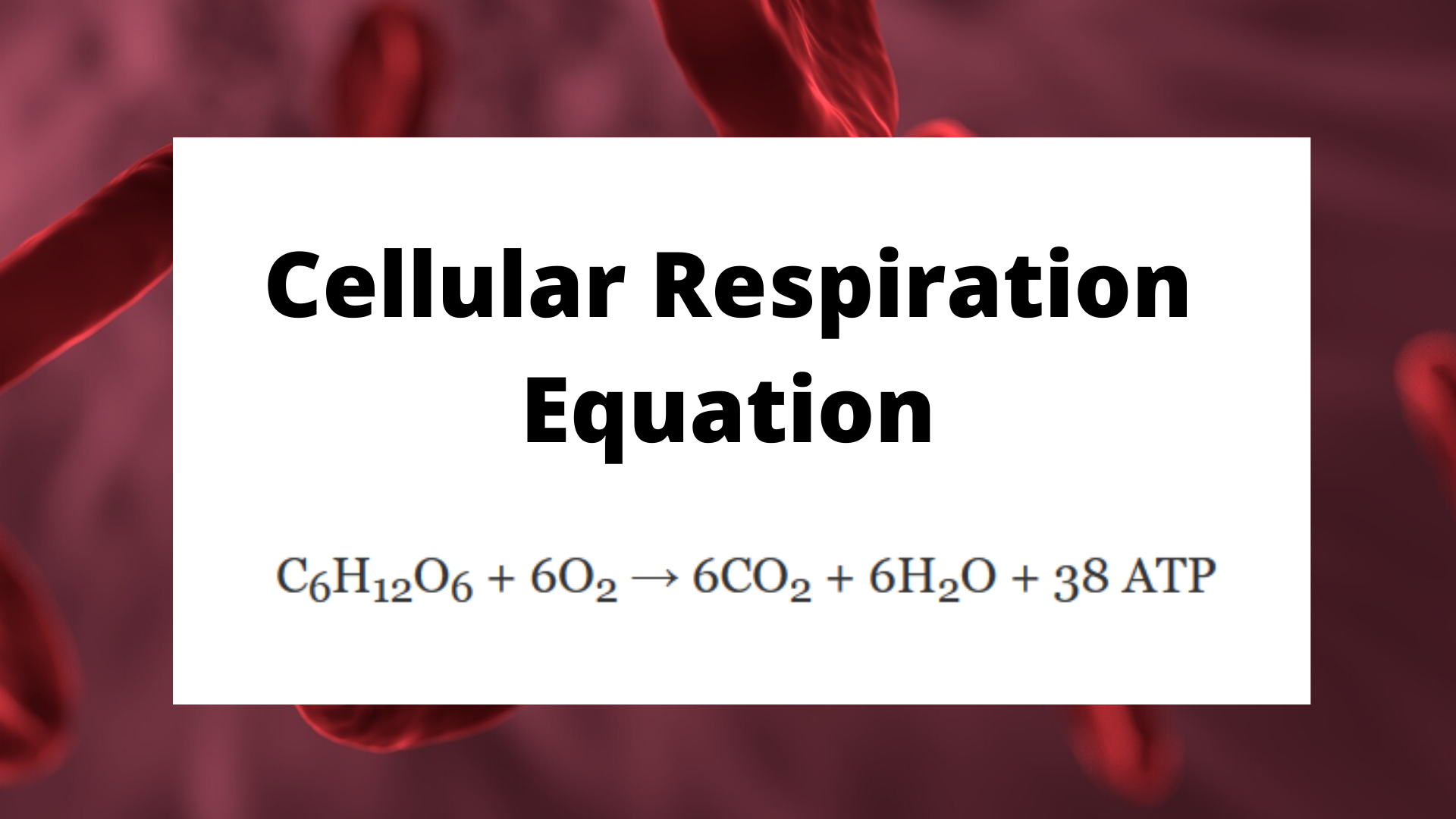 Balanced Chemical Equation For Cellular Respiration