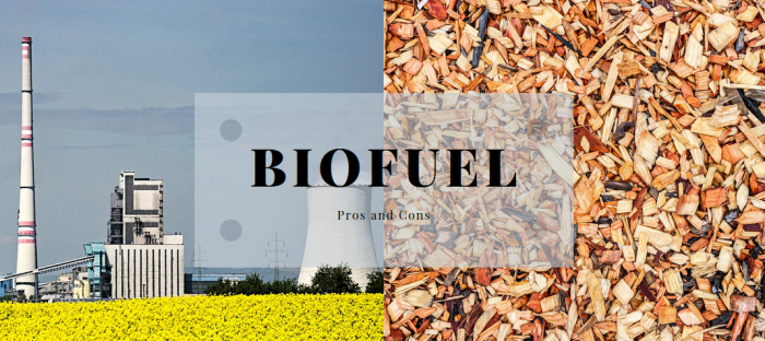 Biofuels Pros And Cons Science Trends