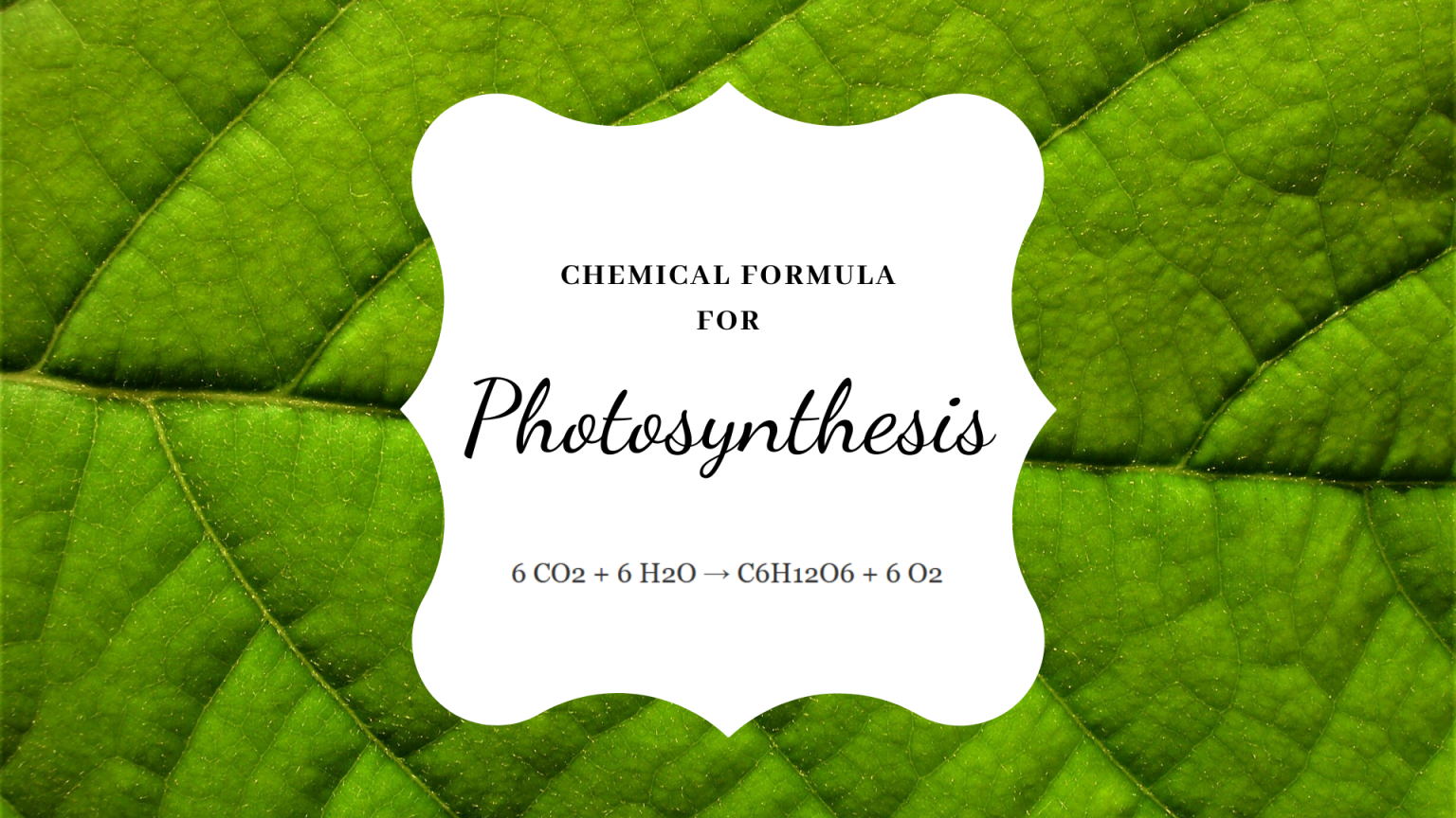 what is the meaning of the chemical equation for photosynthesis