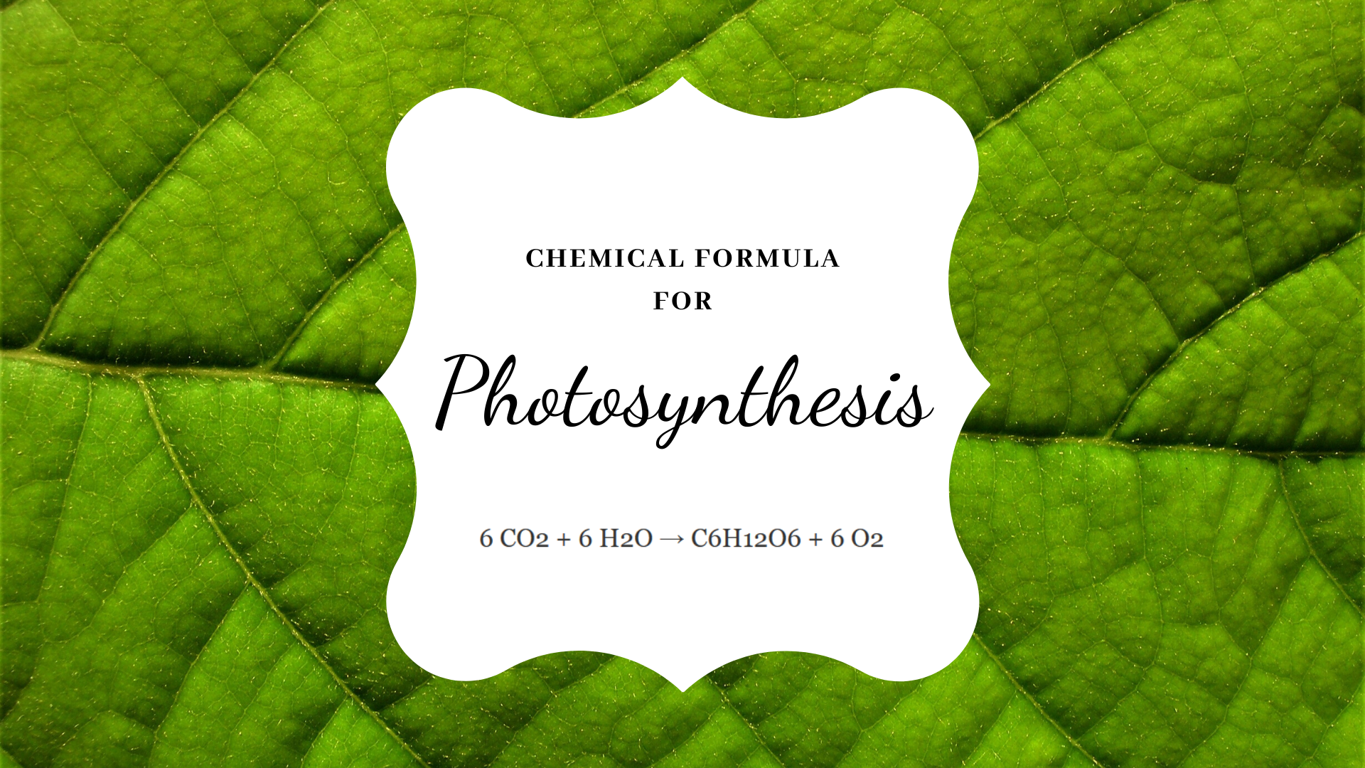 The Chemical Equation For Photosynthesis Science Trends