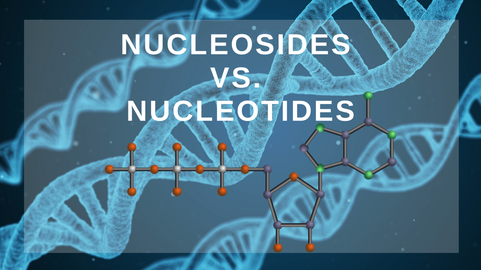 Nucleosides Vs Nucleotides - Science Trends