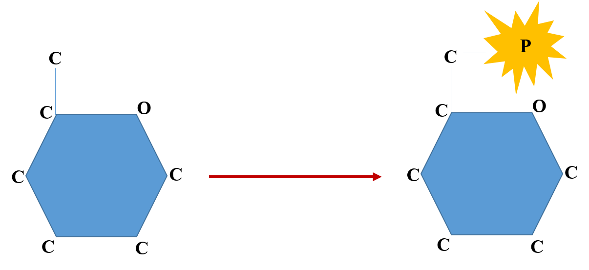 What Are The End Products Of Glycolysis? - Science Trends