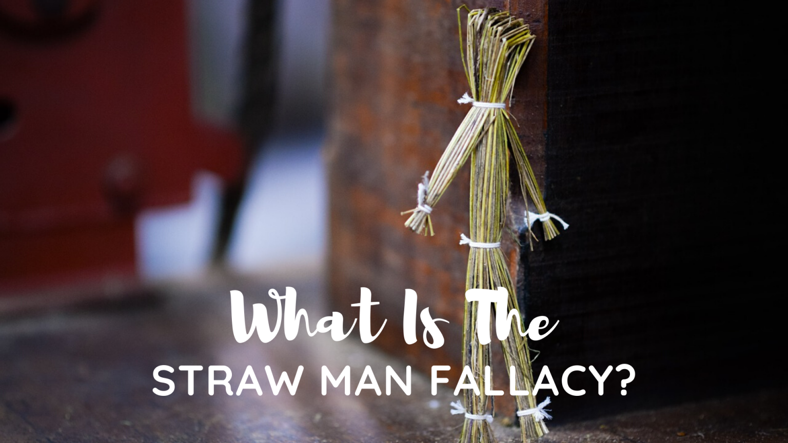 Straw Man Fallacy Example Arguments Science Trends