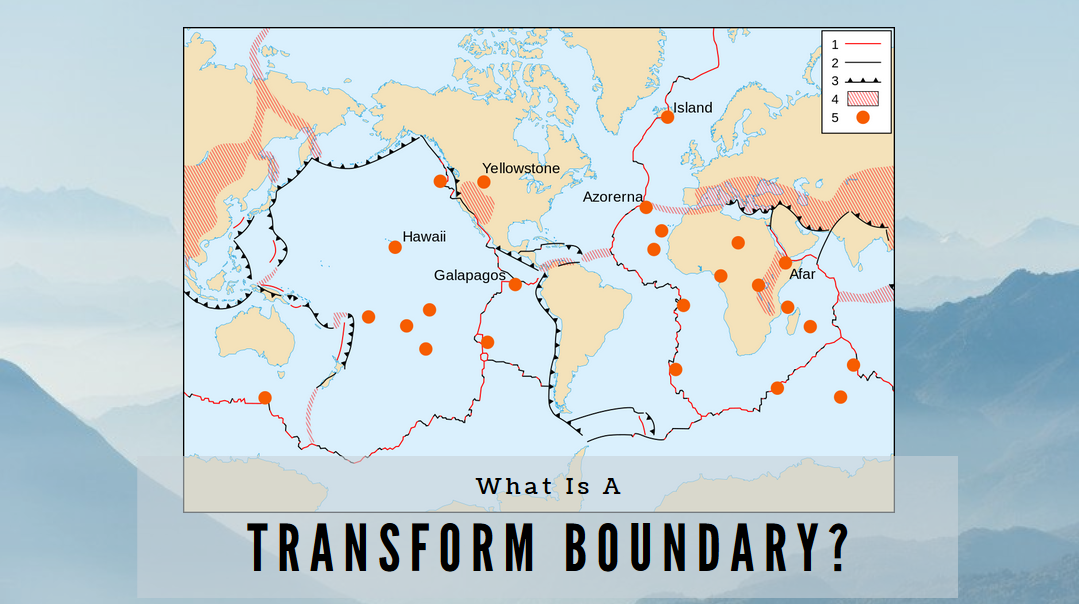 transform science definition