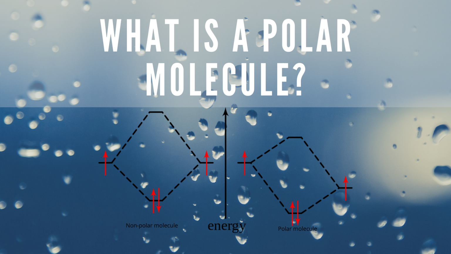 Polar Molecule: Definition And Examples - Science Trends