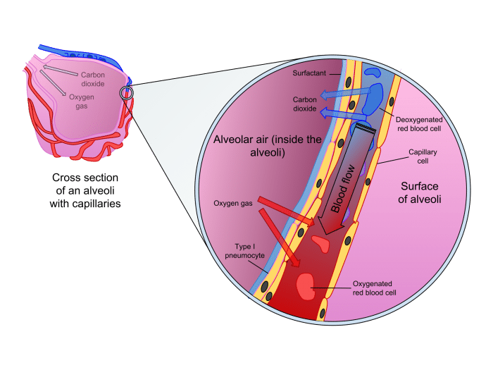 what-is-diffusion-science-trends