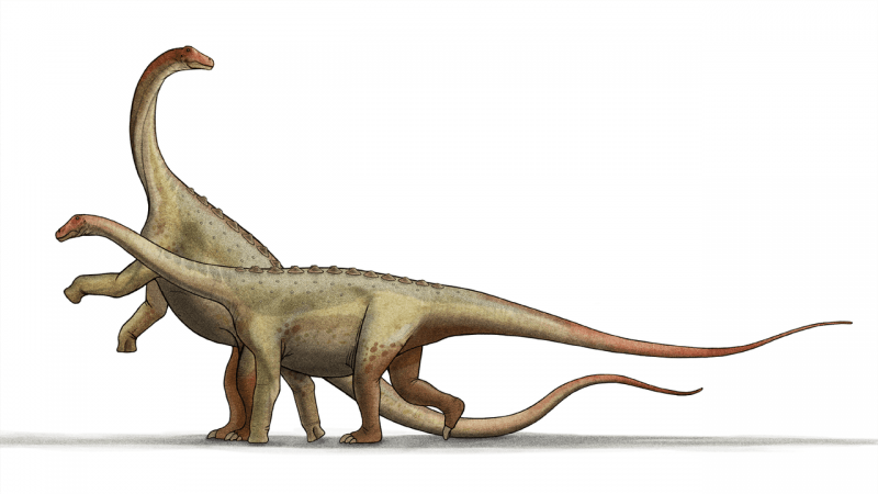 dinosaur with a long neck name