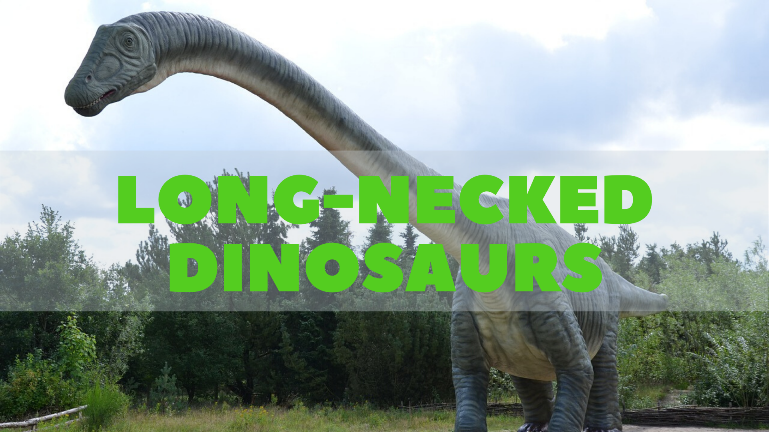 longest neck dinosaur name