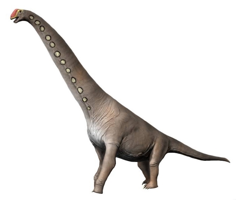 Long Neck Dinosaurs: Names And Characteristics - Science Trends