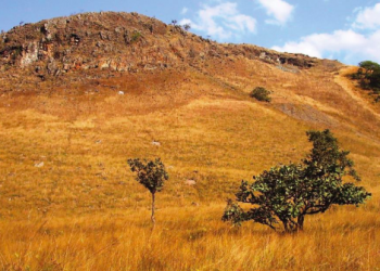 Figure 1. Photograph of a Cu and Co hill (courtesy of Gilles Colinet).