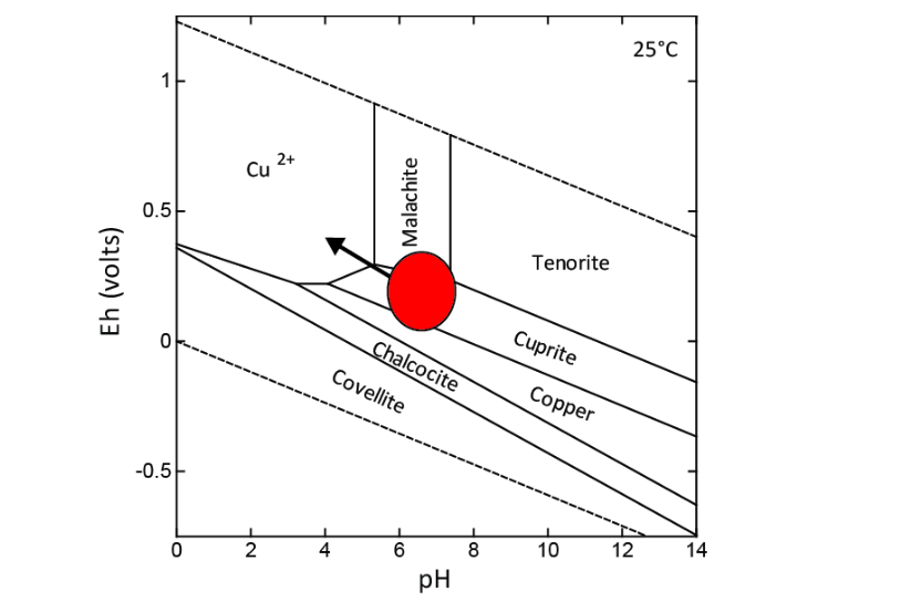 The Mobility Of Copper And Cobalt In Metalliferous Ecosystems - Science ...