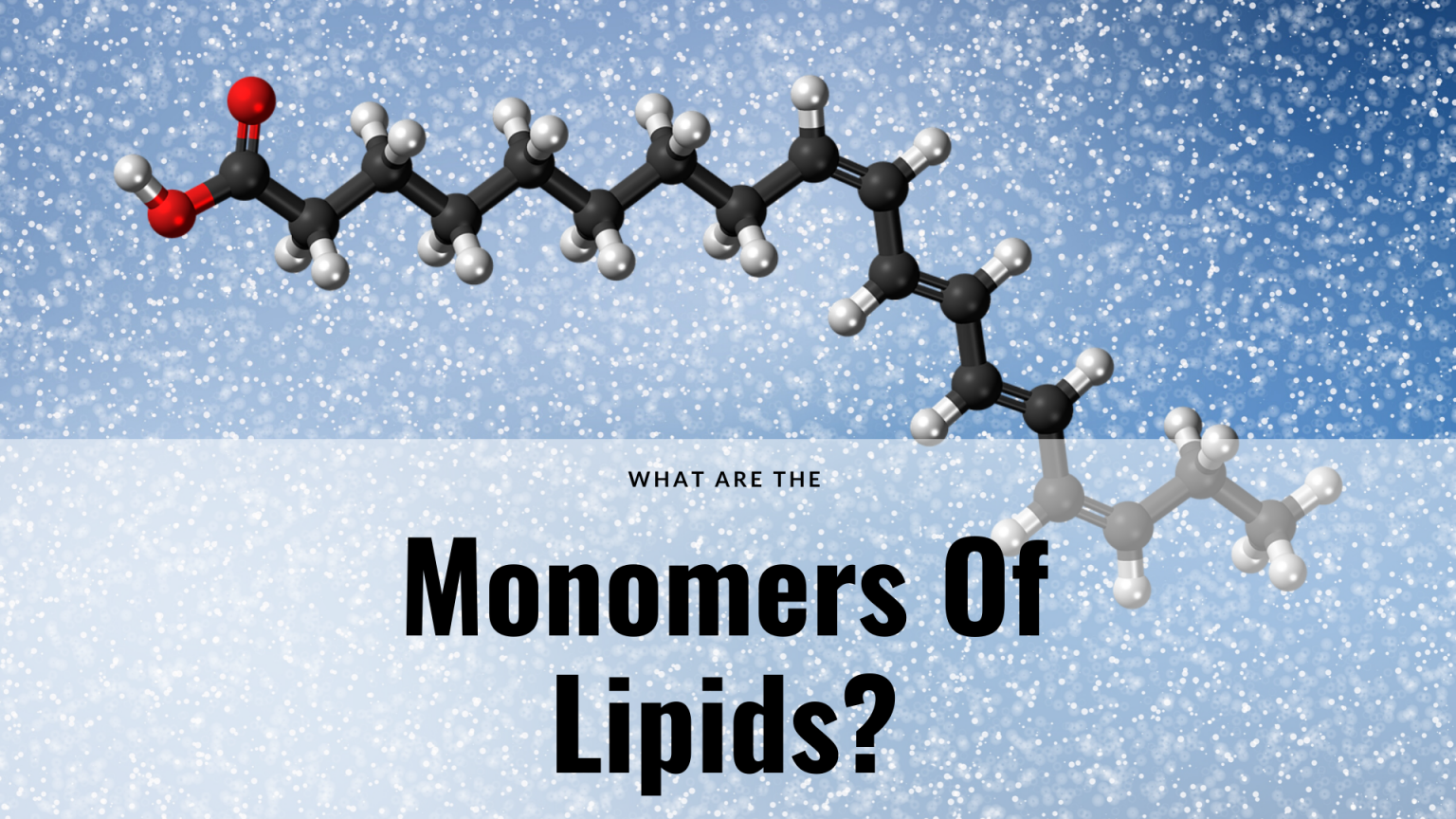 What Are The Monomers Of Lipids Science Trends 