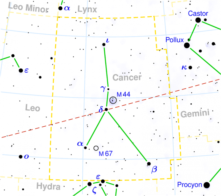 Vortex beta cancri