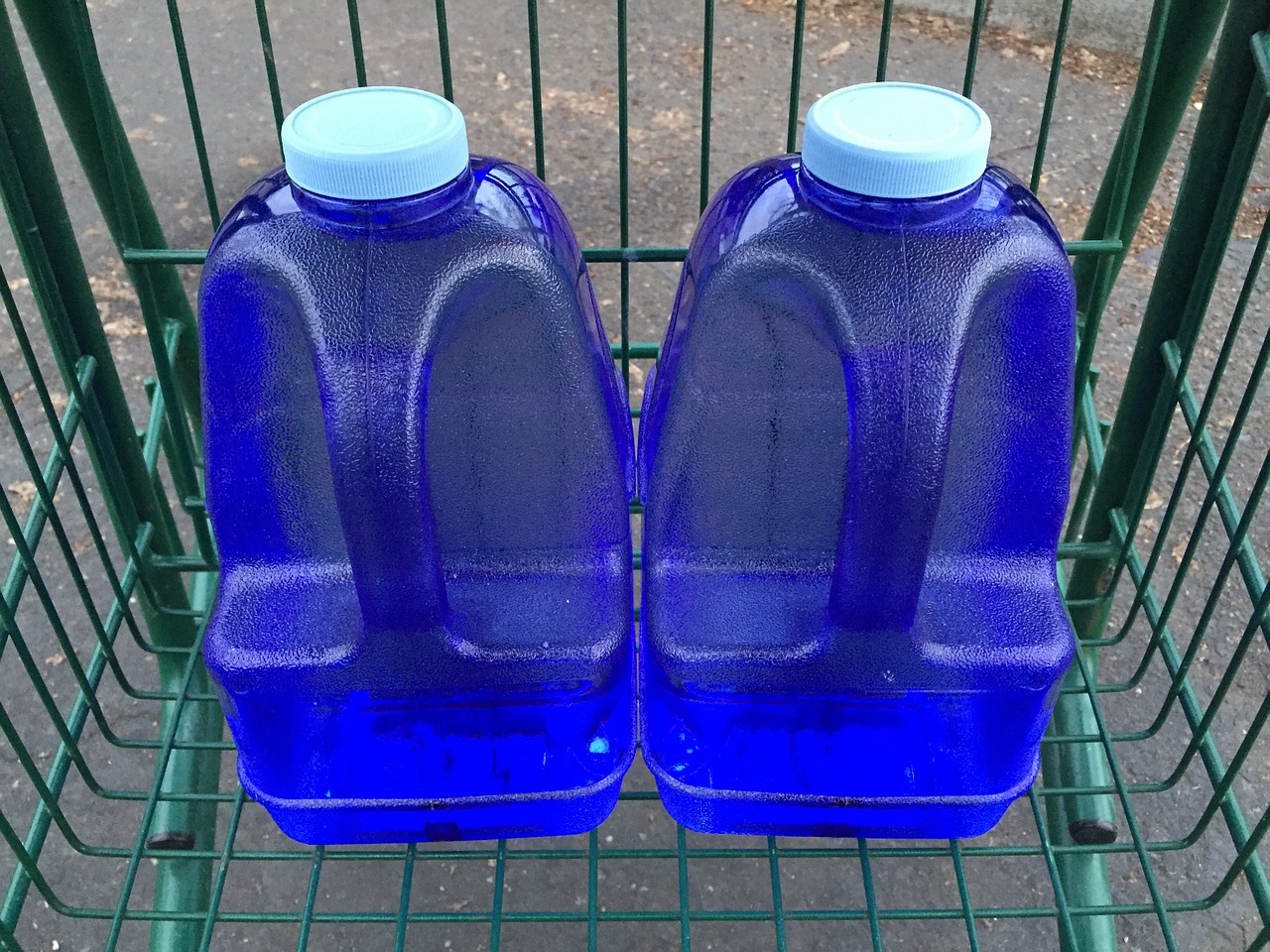 2 litres shop in gallons