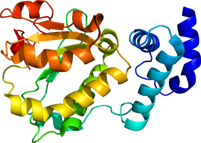 The Building Blocks Of Proteins Science Trends