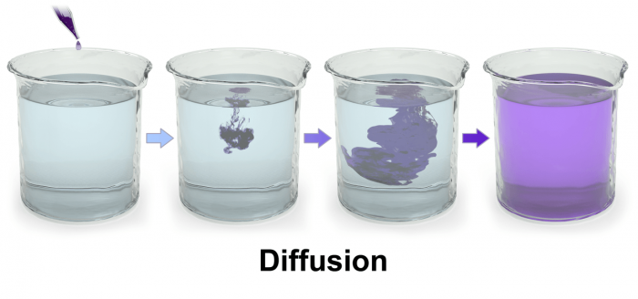 Hypertonic solution - Definition and Examples - Biology Online Dictionary