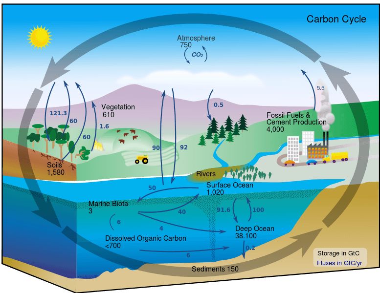 chemical weathering carbon dioxide diagram