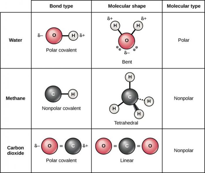 what-is-a-nonpolar-covalent-bond-science-trends